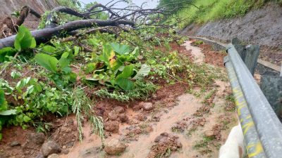 Longsor Tutup Total Jalur Loji–Geopark Ciletuh, Akses Kendaraan Lumpuh