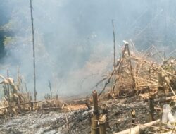 Kebakaran Hutan di Cireunghas Hanguskan 2.000 Meter Persegi, BPBD Pastikan Tak Ada Korban