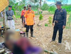 Petani Lansia di Pabuaran Tewas Tertimpa Bambu, Diduga Meninggal Sejak Tiga Hari
