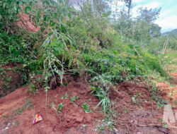 Akses Lumpuh! Longsor 70 Meter Kepung Purabaya, Dua Rumah di Ujung Ancaman