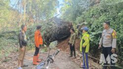 Diterjang Cuaca Ekstrem, Dua Bencana Beruntun Hantam Caringin dalam Satu Malam