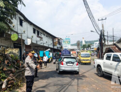 Cegah Pohon Tumbang, BPBD Sukabumi Tebang Mahoni Tua di Jalur Nasional Cibadak