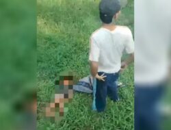 Tragis! Bocah 9 Tahun Tewas Diduga Digigit Anjing Pemburu Babi di Bogor, 20 Orang Diamankan Polisi