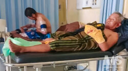 Petani Diseruduk Babi Hutan di Cianjur, Perut dan Kaki Alami Luka Serius