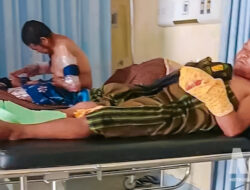 Petani Diseruduk Babi Hutan di Cianjur, Perut dan Kaki Alami Luka Serius