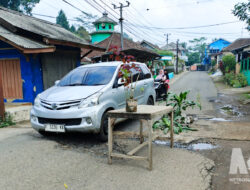 Bertahun-tahun Rusak, Warga Tandai Jalan Berlubang Parakansalak-Cidahu dengan Pot Bunga