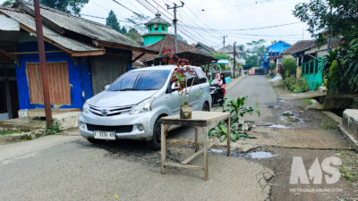 Bertahun-tahun Rusak, Warga Tandai Jalan Berlubang Parakansalak-Cidahu dengan Pot Bunga