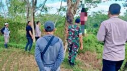 Tragis! Warga Cipatujah Tasikmalaya Tewas Gandir di Pohon Karet, Diduga Kuat Depresi Berat