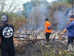 Kebakaran Ilalang di Cibadak Sukabumi Bikin Panik, Api Hampir Masuk Permukiman Warga