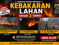 Sehari Tiga Kebakaran Lahan Terjadi di Sukabumi, Damkar Berjibaku Cegah Api Meluas