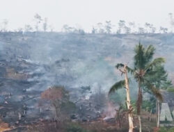Kebakaran Lahan Perhutani Sukabumi, 18 Hektare Terbakar dan 65 Personel Berjibaku 14 Jam