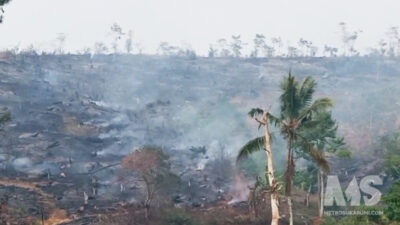 Kebakaran Lahan Perhutani Sukabumi, 18 Hektare Terbakar dan 65 Personel Berjibaku 14 Jam