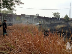 Diduga Gara-Gara Bakar Sampah, Lahan Belakang Pabrik Saos di Cibadak Terbakar, Warga Panik