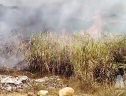 Lahan Bekas Pabrik di Cibadak Sukabumi Kebakaran Kedua Kalinya, Api Muncul di Dua Titik