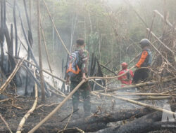 Kebakaran Lahan di Cibadak Sukabumi, Api Merembet ke Bambu Dekat Permukiman