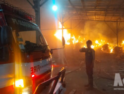 Kobaran Api Bakar Limbah Triplek di PT BDJ Cikembar Sukabumi, Pabrik Sempat Diliburkan