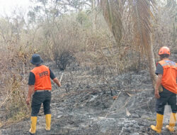 3,8 Hektare Lahan Kosong di Cikundul Sukabumi Terbakar, Damkar Kesulitan Cari Sumber Air