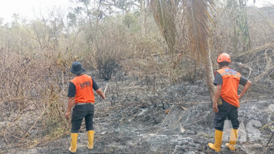 3,8 Hektare Lahan Kosong di Cikundul Sukabumi Terbakar, Damkar Kesulitan Cari Sumber Air