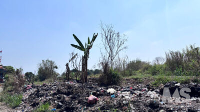 Hamparan lahan yang dipenuhi semak belukar di kawasan Ciambar milik PT Wonokoyo, Kabupaten Sukabumi,
