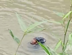 Pria Diduga Ambil HP di Masjid Hilang Usai Lompat ke Sungai Cicatih